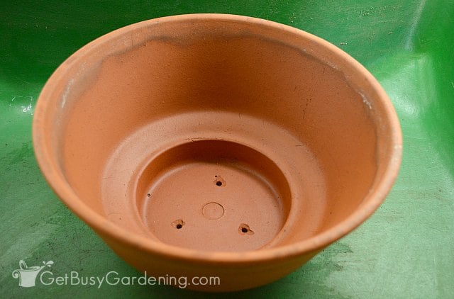Using a terracotta bowl for my indoor succulent garden