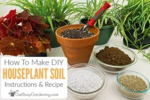 How To Make Potting Soil For Indoor Plants