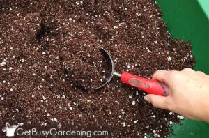 How To Make Potting Soil For Indoor Plants - Get Busy Gardening