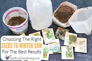 How To Choose The Best Seeds For Winter Sowing