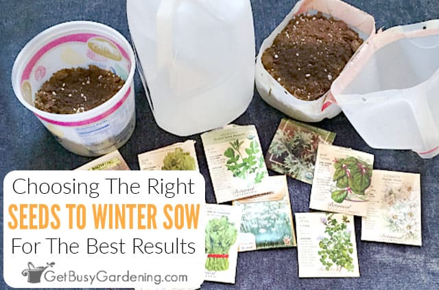 How To Choose The Best Seeds For Winter Sowing