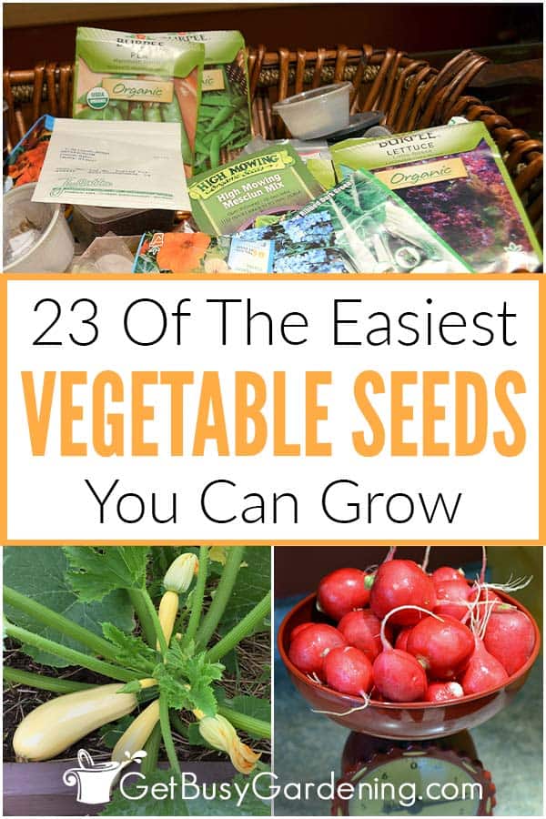 23 Of The Easiest Vegetable Seeds You Can Grow