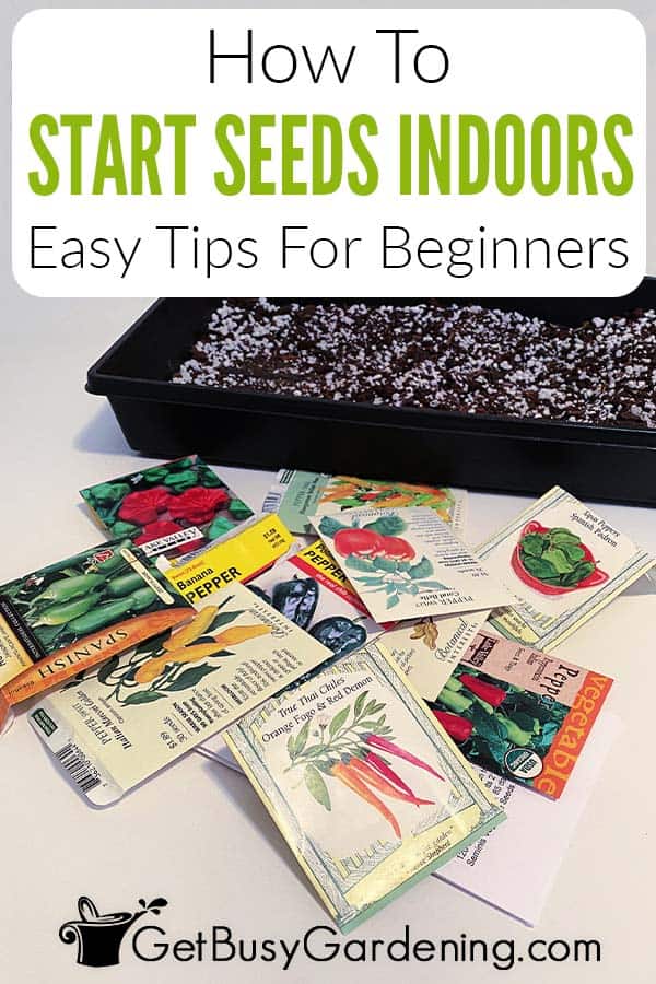 How To Start Seeds Indoors Easy Tips For Beginners