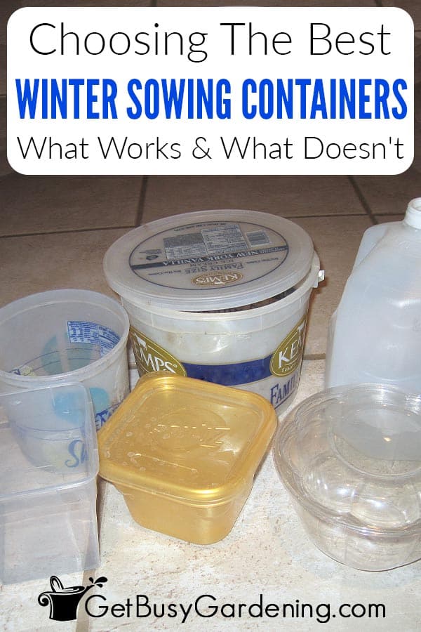 Choosing The Best Winter Sowing Containers What Works & What Doesn't