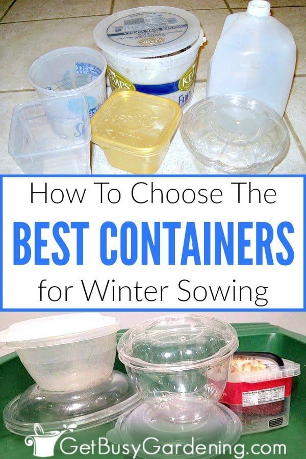How To Choose The Best Containers For Winter Sowing