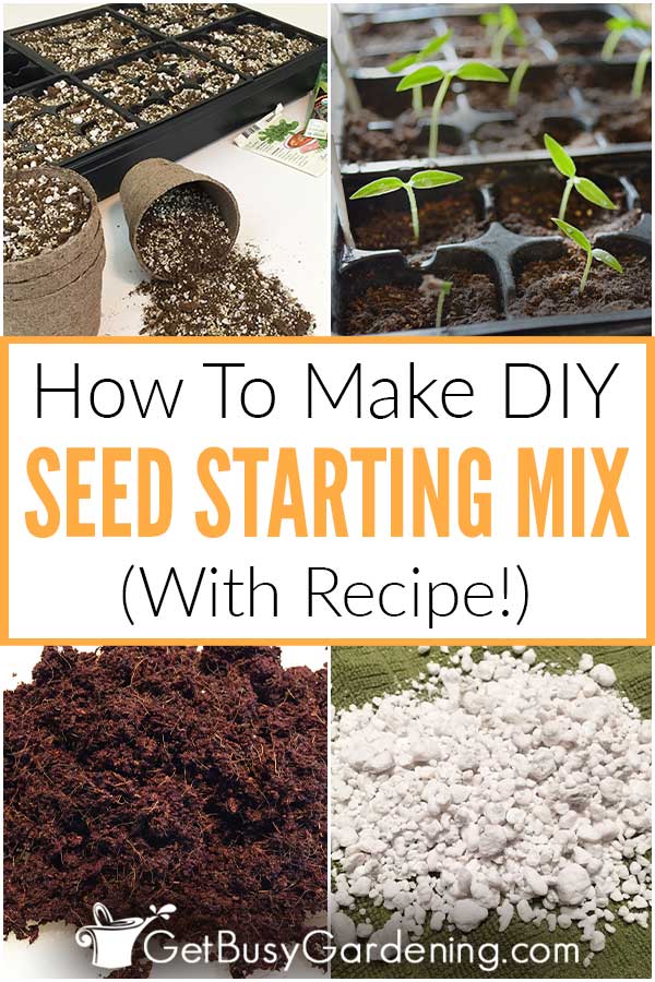 How To Make DIY Seed Starting Mix (With Recipe!)