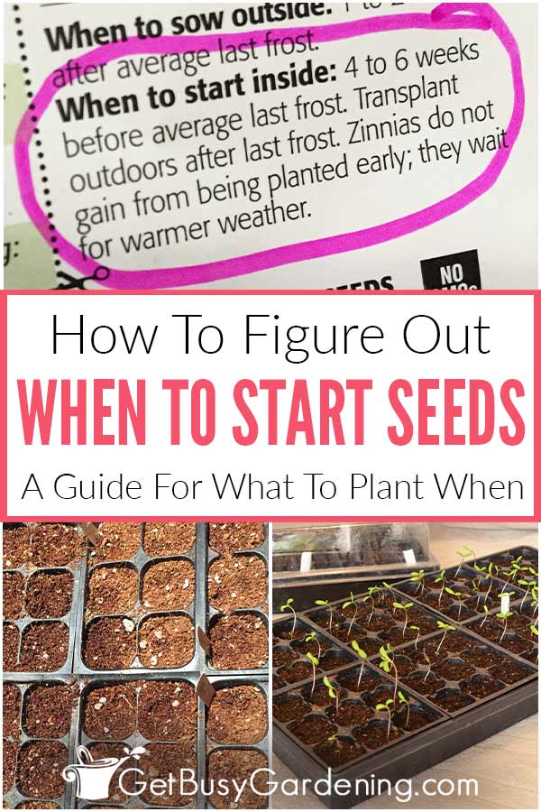 How To Figure Out When To Start Seeds: A Guide For What To Plant When