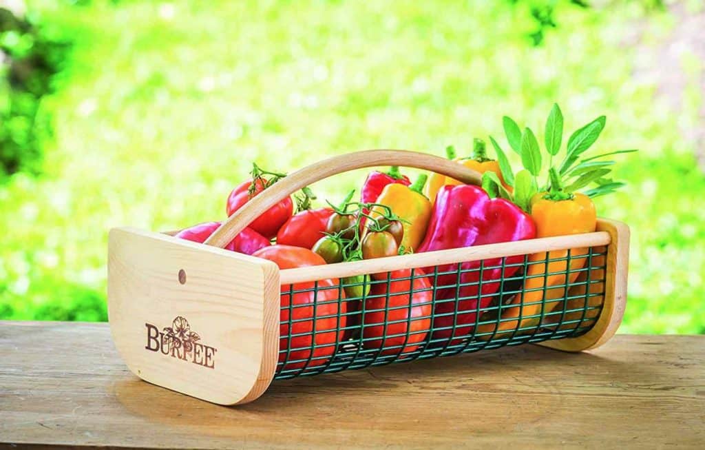 20+ Unique Gardening Gifts For Mom - Get Busy Gardening