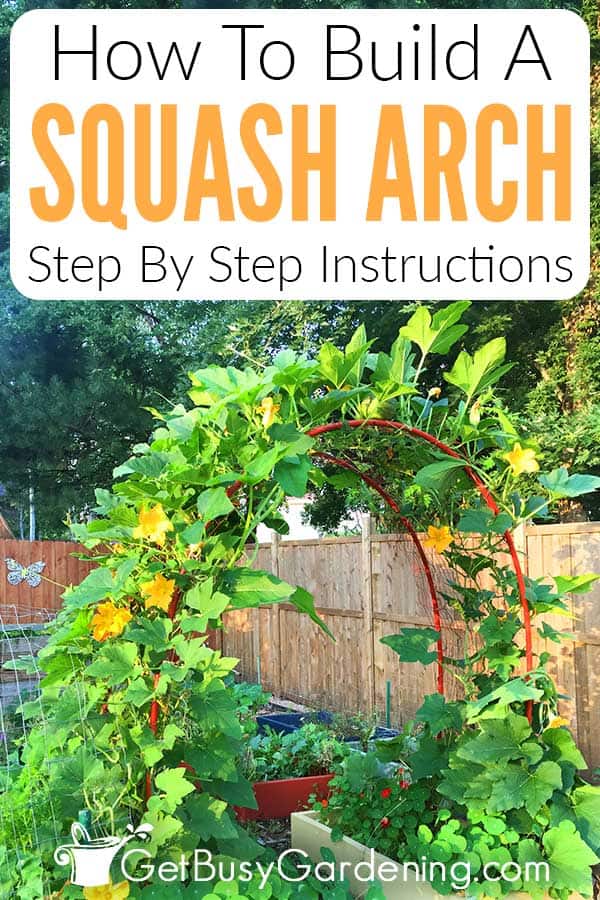 How To Build A Squash Arch Step By Step Instructions