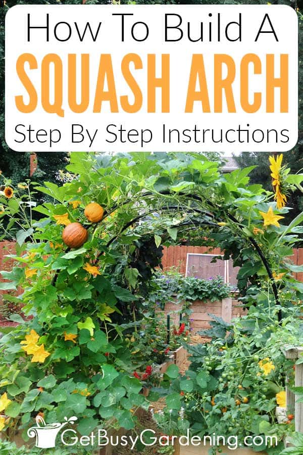 How To Build A Squash Arch Step By Step Instructions