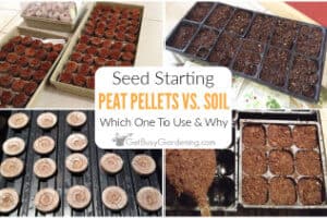 Seed Starting Peat Pellets vs. Soil: Which To Use & Why
