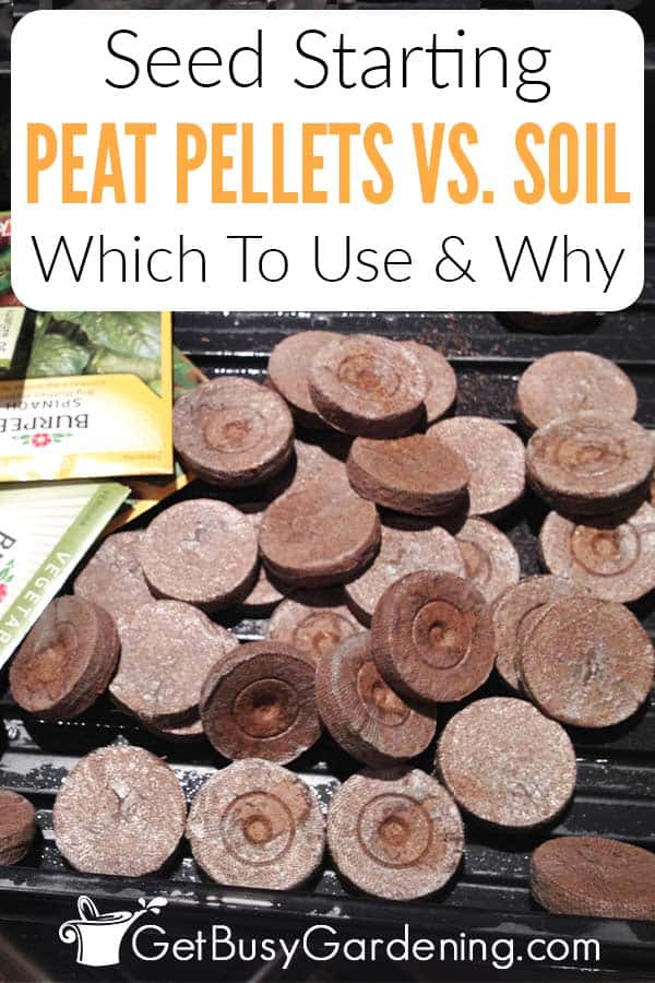Seed Starting Peat Pellets VS. Soil Which To Use & Why