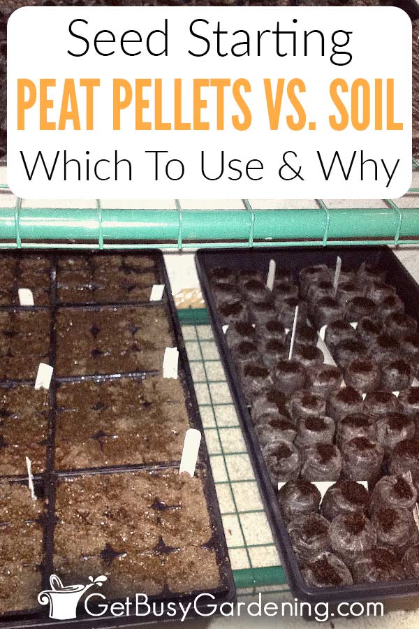 Seed Starting Peat Pellets VS. Soil Which To Use & Why