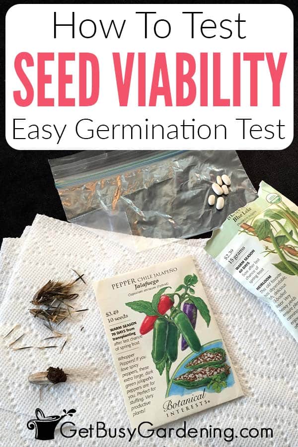 How To Test Seed Viability Easy Germination Test