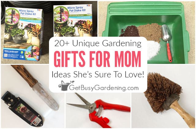 Gardening Gifts Mom Will Love