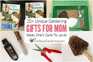 20+ Unique Gardening Gifts For Mom