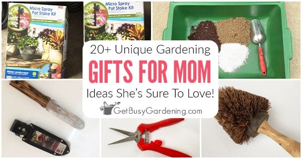 20+ Unique Gardening Gifts For Mom - Get Busy Gardening