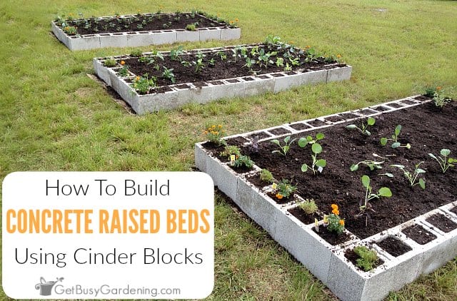 How To Make A Raised Garden Bed Using Concrete Blocks Get Busy