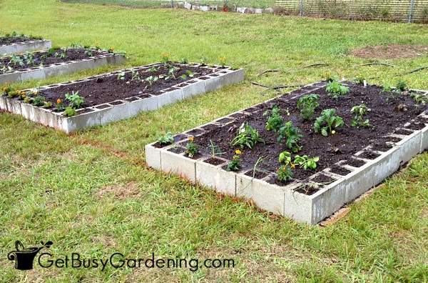 A Raised Bed with Cinder Blocks - Laidback Gardener