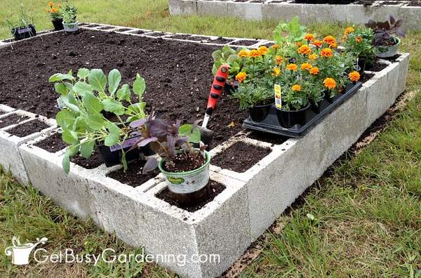 Concrete block raised garden bed ready for planting
