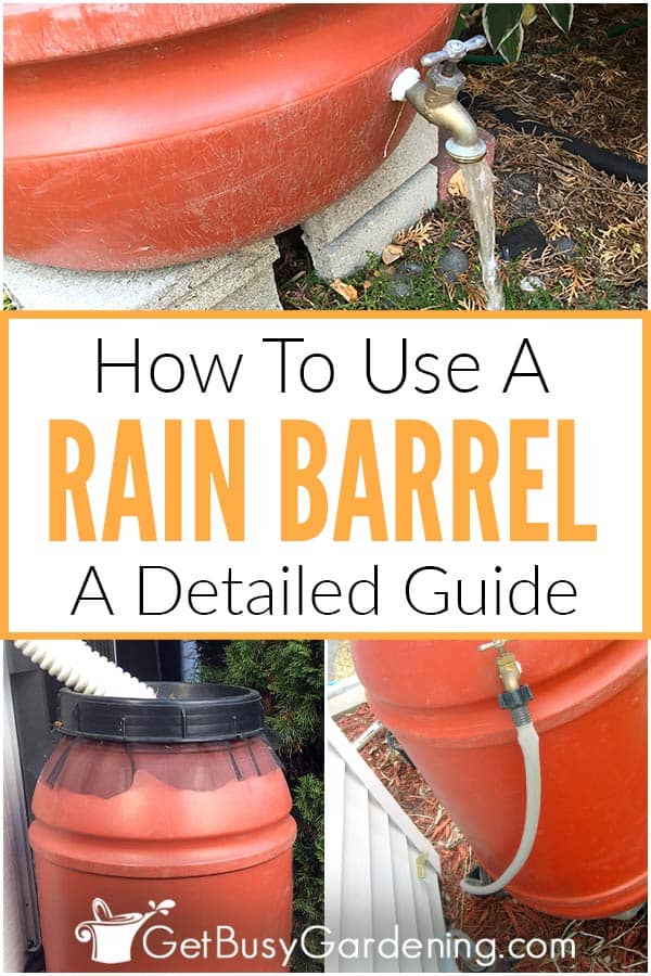 How To Use A Rain Barrel A Detailed Guide