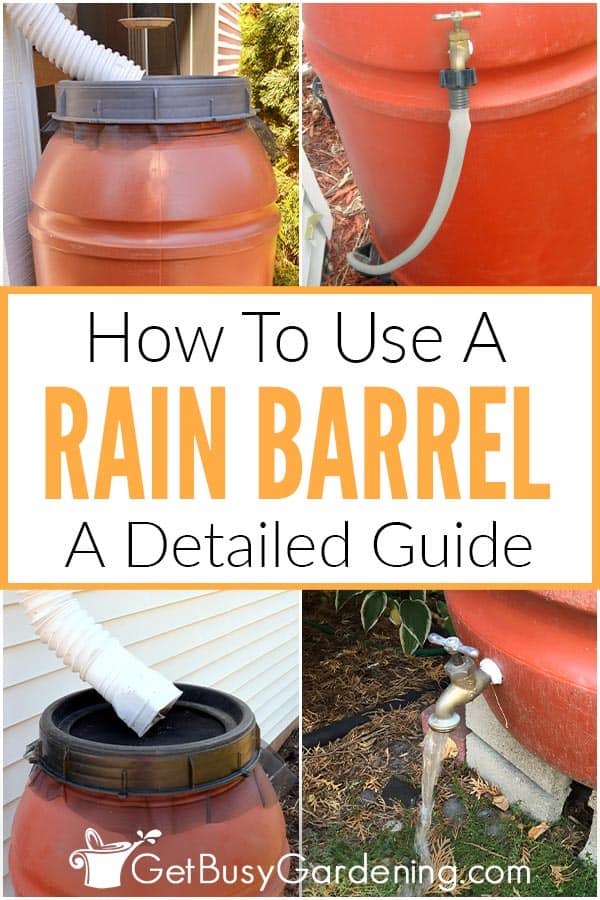 How To Use A Rain Barrel