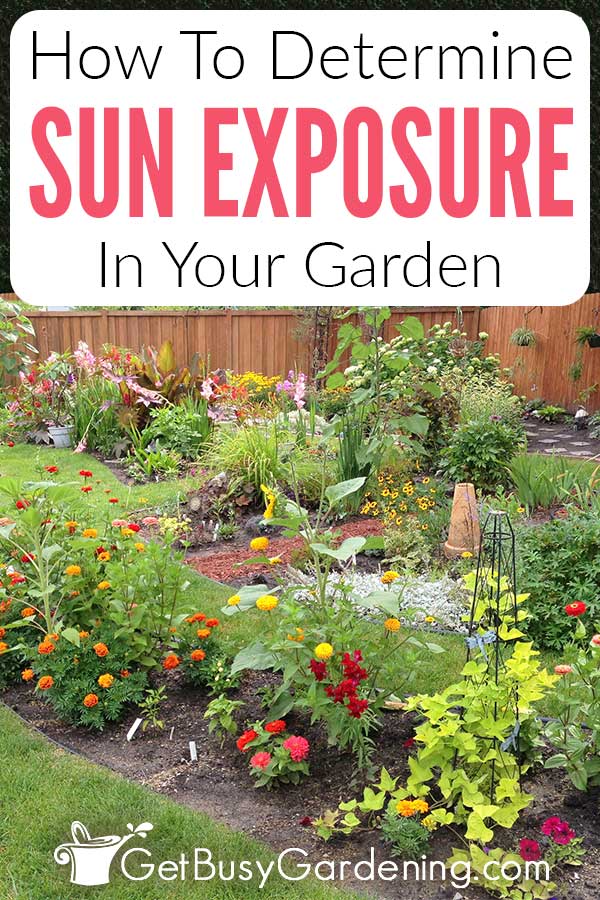 How To Determine Sun Exposure In Your Garden