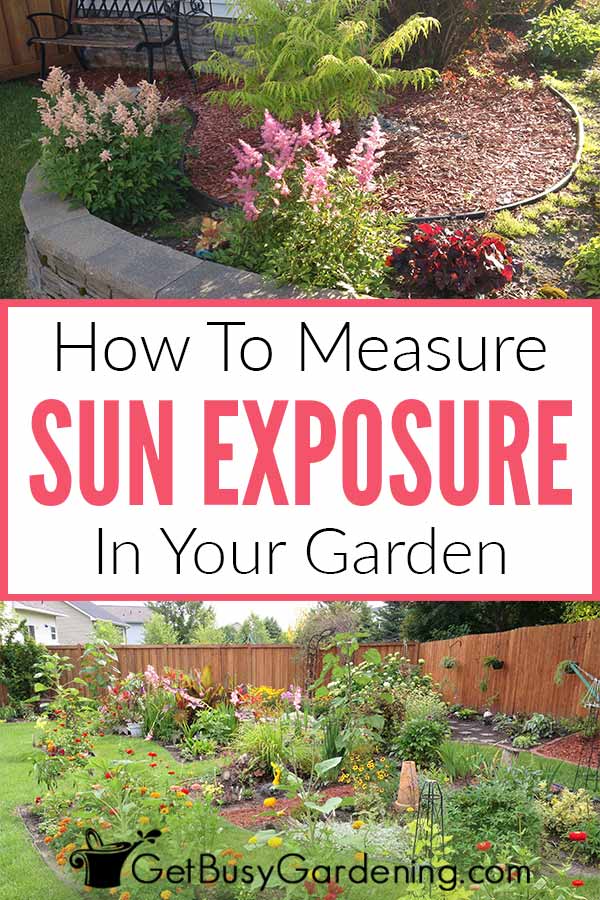 How To Measure Sun Exposure In Your Garden