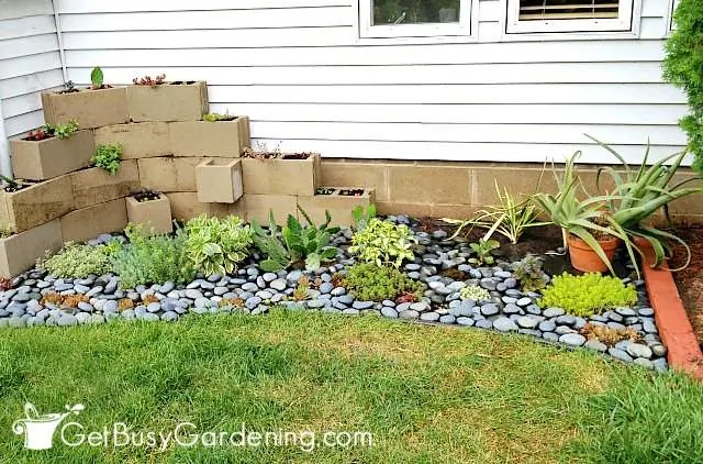 my-finished-backyard-zen-garden-project.webp