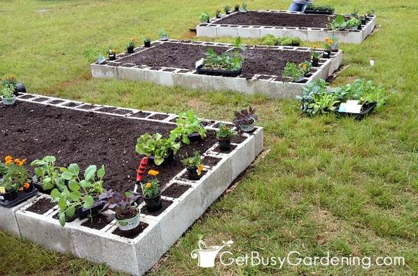 Planting vegetables in the concrete block garden beds