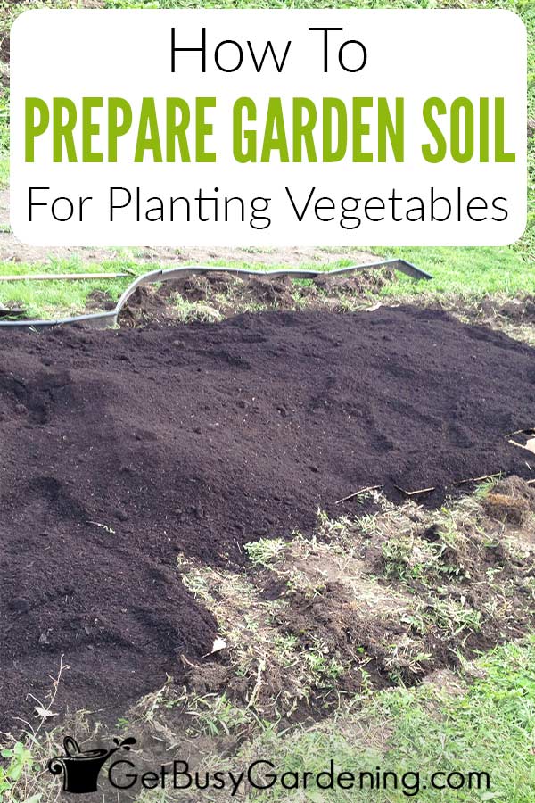 How To Prepare Garden Soil For Planting Vegetables