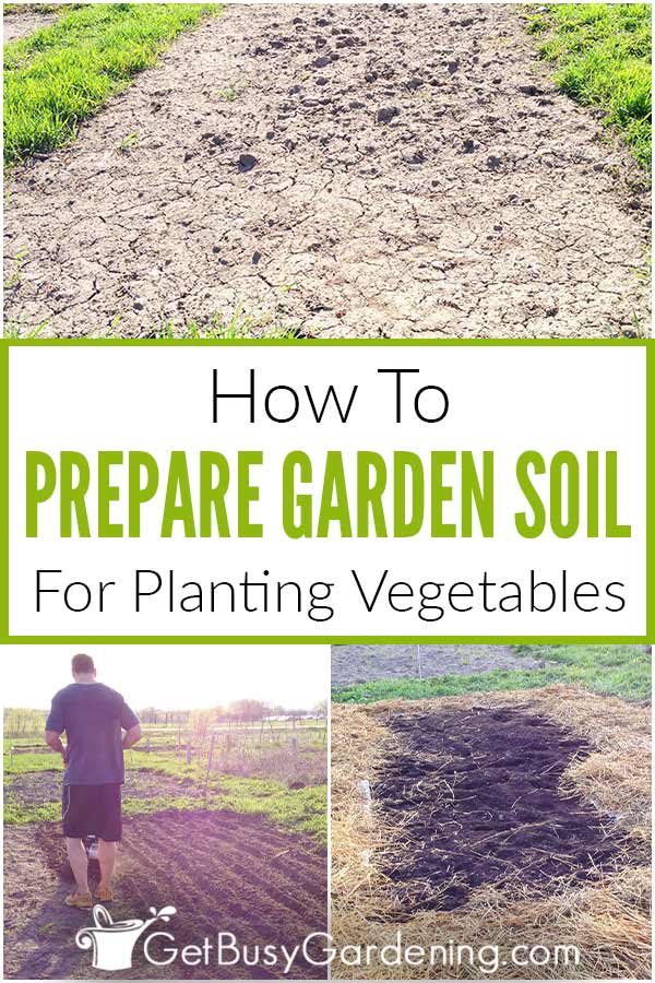 How To Prepare Garden Soil For Planting Vegetables