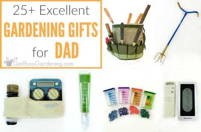 25+ Excellent Gardening Gifts For Dad - Get Busy Gardening