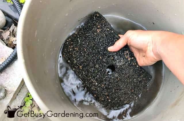 Cleaning pond pump filter