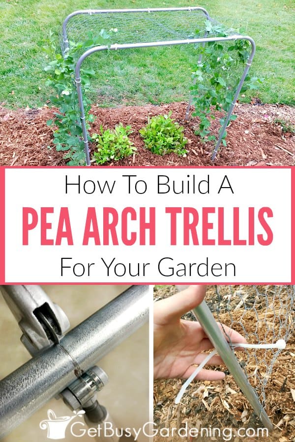 How To Build A Pea Arch Trellis For Your Garden
