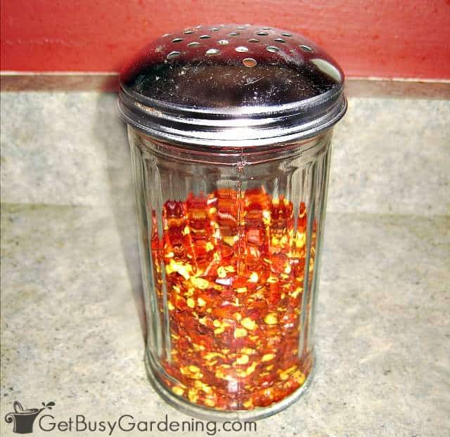 Shaker filled with homemade crushed red pepper flakes