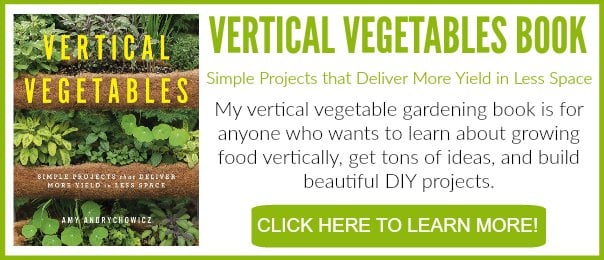 Learn More About The Vertical Vegetables Book by Amy Andrychowicz