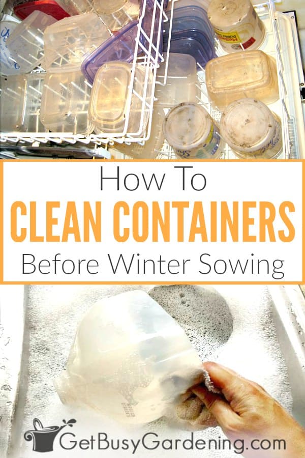How To Clean Containers Before Winter Sowing