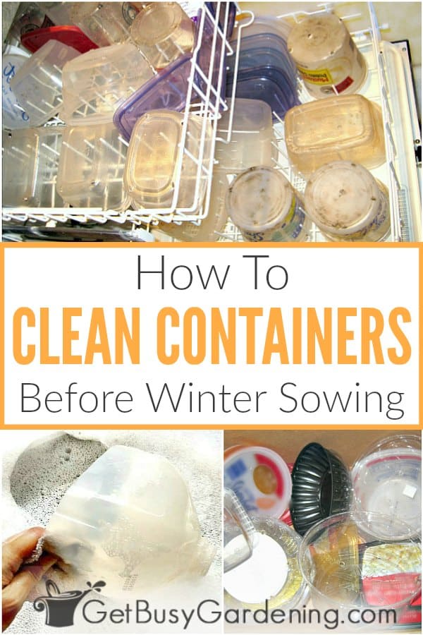 How To Clean Containers Before Winter Sowing