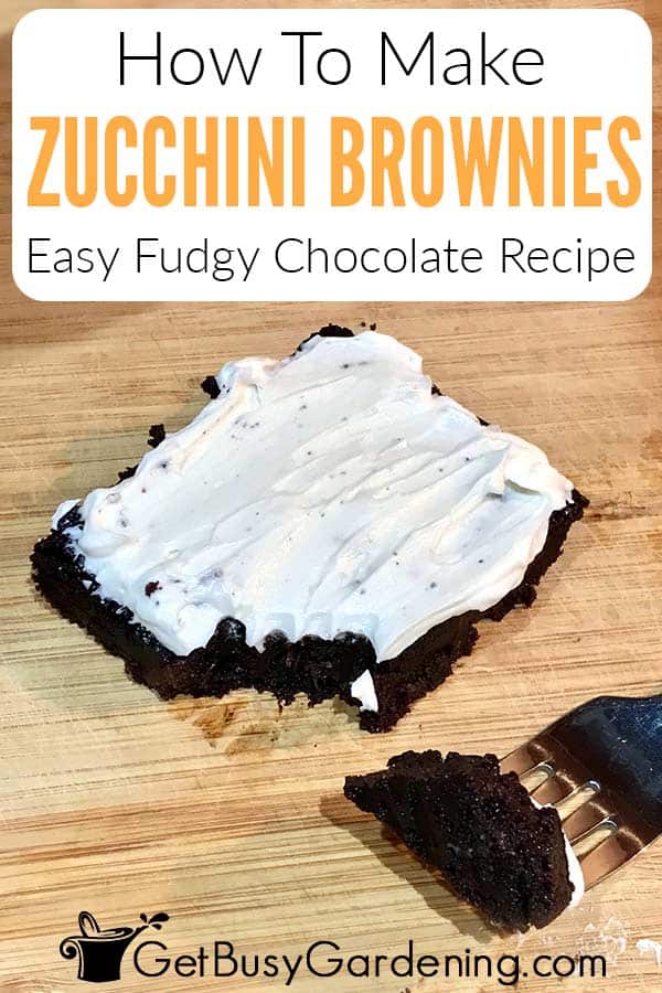 How To Make Zucchini Brownies Easy Fudgy Chocolate Recipe