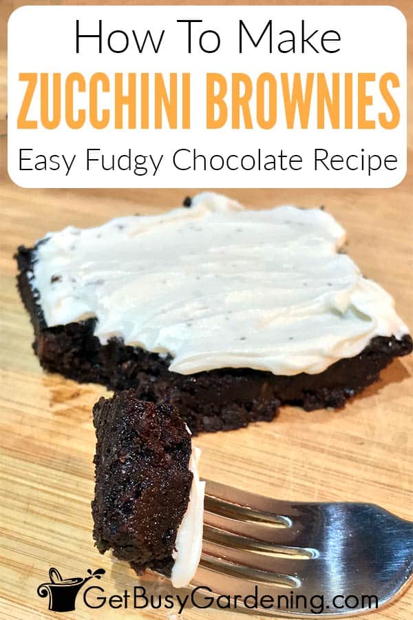 How To Make Zucchini Brownies Easy Fudgy Chocolate Recipe