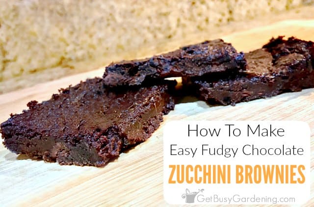 Fudgy Chocolate Zucchini Brownies Recipe
