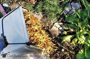 How To Winterize Your Garden In The Fall - Get Busy Gardening