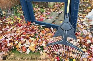 How To Winterize Your Garden In The Fall - Get Busy Gardening