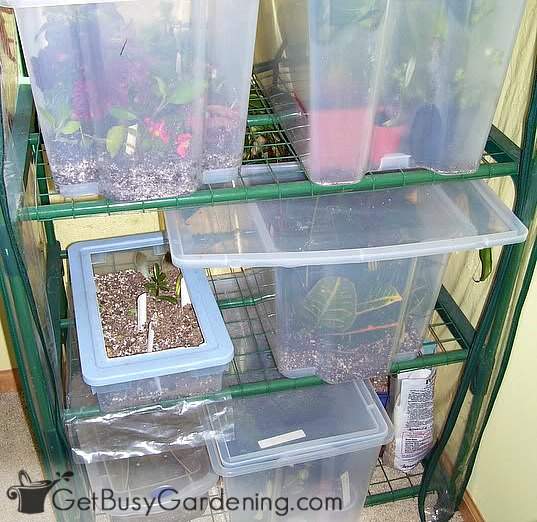 My homemade plant propagation system