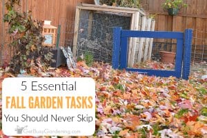 5 Essential Fall Garden Tasks You Should Never Skip