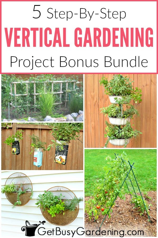 Get inspired and learn how to make these 5 fun and unique space-saving DIY vertical vegetable gardening projects. Great for growing veggies in large backyards, small yards, or even on your patio, balcony, on a fence or wall. Projects include an a-frame trellis, sturdy tomato cages, upcycled fan grates, coffee bags, and a 3-tiered hanging planter! These are great ideas, and super fun ways to grow your own food!