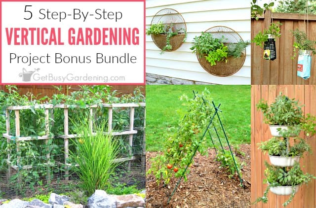 Vertical gardening projects bonus bundle