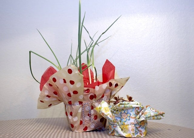 Wrapping plants to give as gifts (without covering the plant) Wrapping plants to give as gifts (without covering the plant)