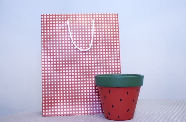 Using decorative gift bags for wrapping plants Using decorative gift bags for wrapping plants
